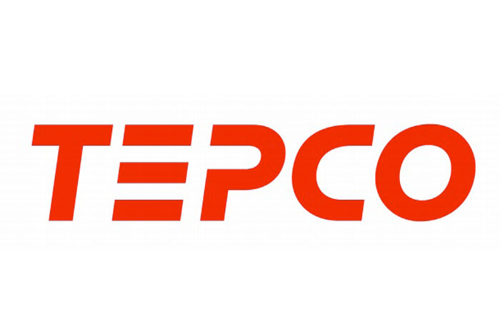 TEPCO завершила брендирование новых компаний в рамках будущего холдинга.